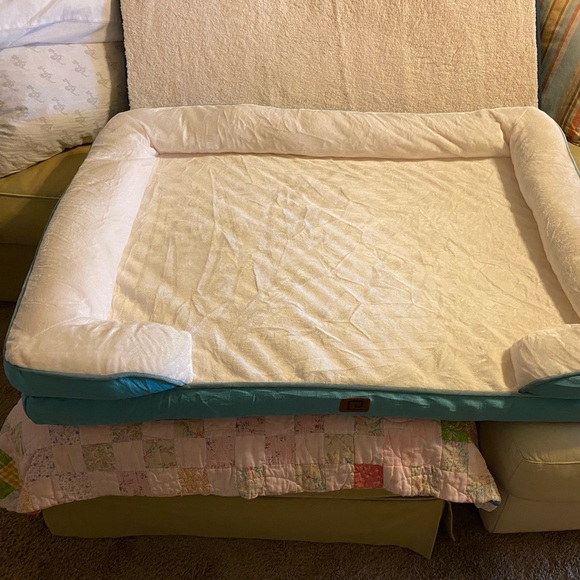 Large Dog Supplies Bundle